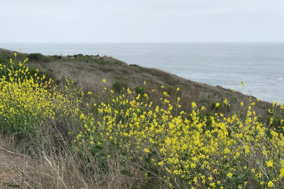 Back To The Old&nbsp;Haunt