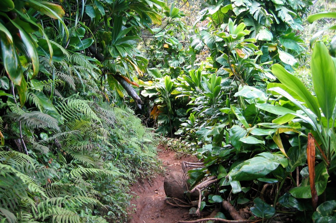 Park Permits &&nbsp;Reservations