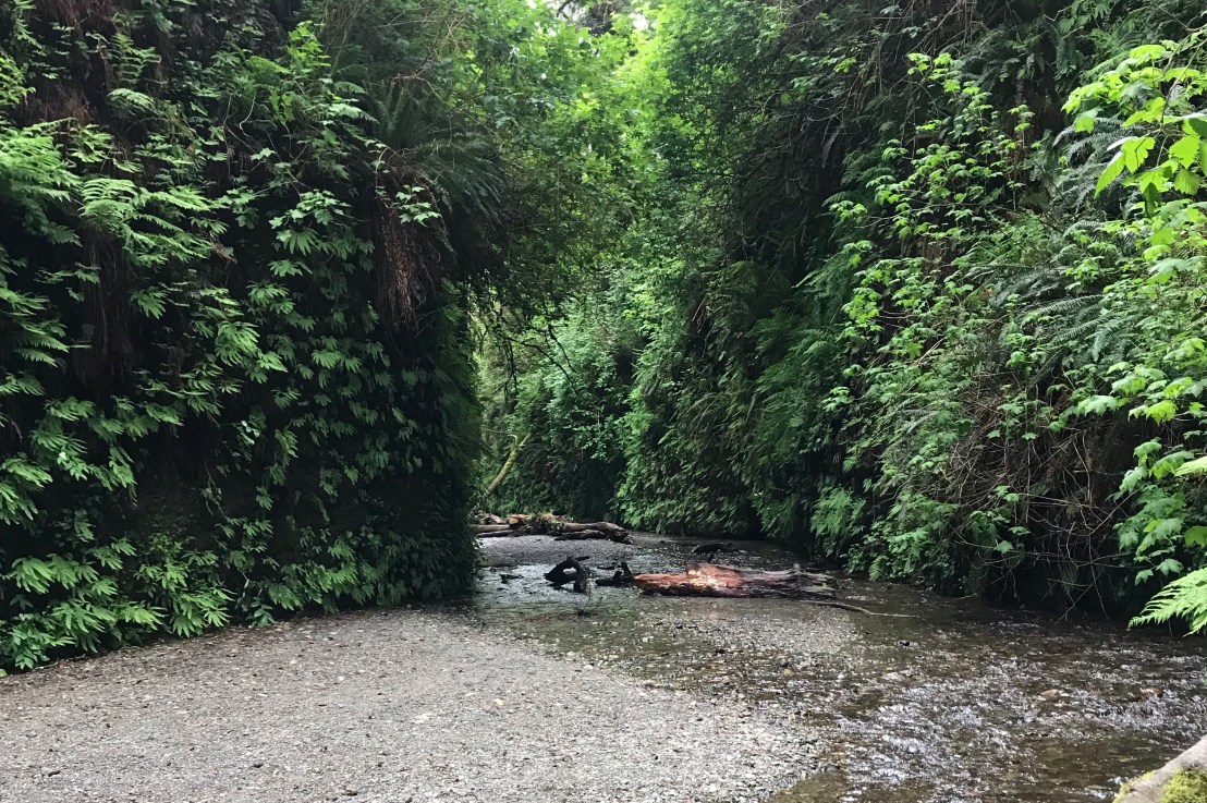 Redwood National Park