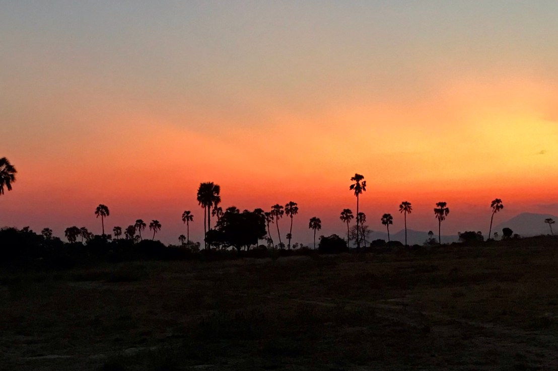 The Gift That Kept On&nbsp;Giving