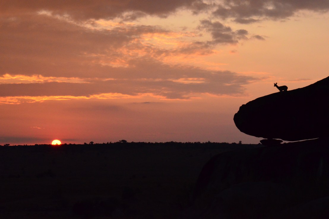 Serengeti National Park