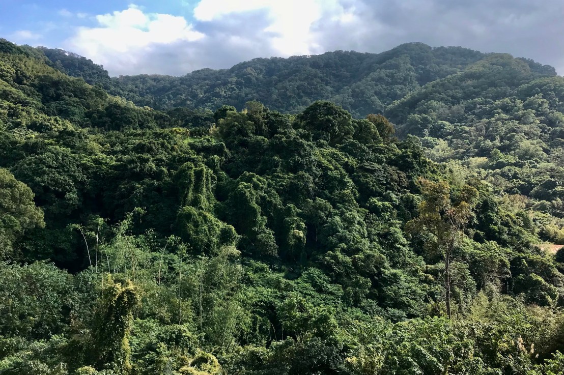 Four Days, Four&nbsp;Hikes