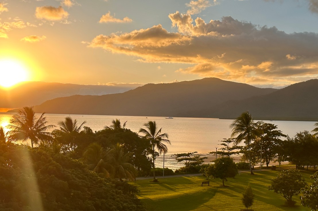 The Search For&nbsp;Cassowaries